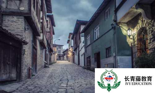 學(xué)習(xí)意大利語-意大利語里的陰陽名詞